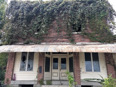 abandoned but for the ivy